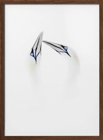 Serene Bird Connection | Poster - Walnut Frame Interior