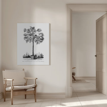 Vintage Palm Tree Drawing X | Canvas - Room Interior 1