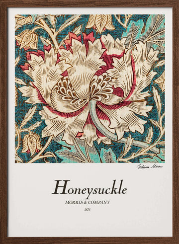 Honeysuckle | Poster - Walnut Frame Interior