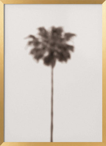 Blurred Palm Tree | Poster - Gold Frame Interior