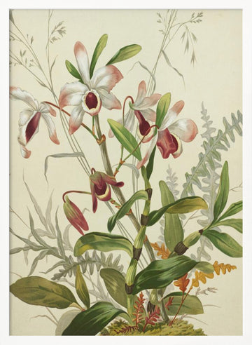 Flowers | Poster - White Frame Interior