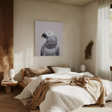 African Grey | Canvas - Room Interior 2