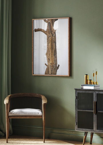 Leopard Descending Tree | Poster - Room Interior 2