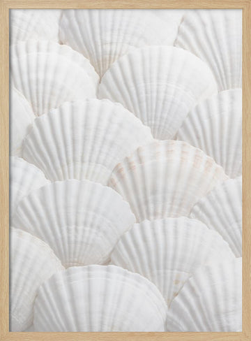 Pristine White Scallops | Poster - Wood Frame Interior