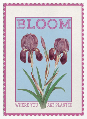 Purple Irises Bloom Quote | Poster - White Frame Interior