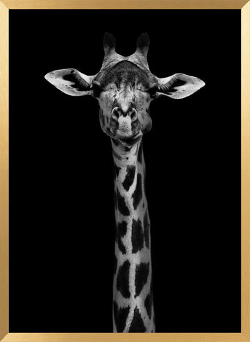 Elegant Giraffe Portrait | Poster - Gold Frame Interior