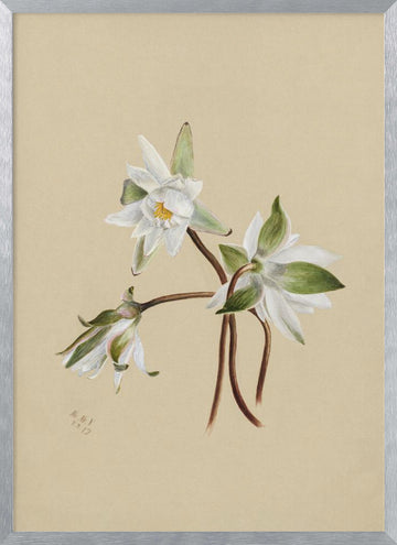 Water Lilies (1879) | Poster - Silver Frame Interior