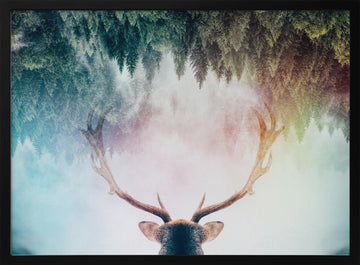 Mystical Forest Stag | Poster - Black Metal Frame Interior