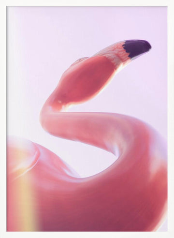 Graceful Pink Flamingo | Poster - White Frame Interior