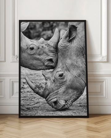 Rhino Tenderness | Poster - Room Interior 1