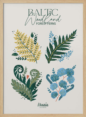 Baltic Woodland Ferns | Poster - Wood Frame Interior