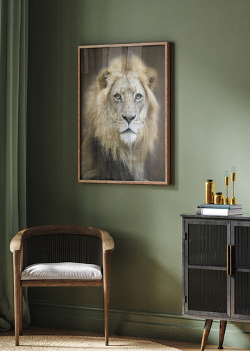 Majestic Lion Gaze | Poster - Room Interior 2