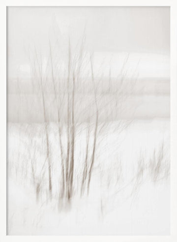 Ethereal Winter Woods | Poster - White Frame Interior