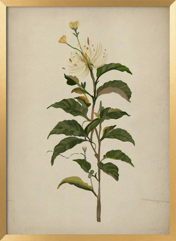 Elegant Botanical Bloom | Poster - Gold Frame Interior