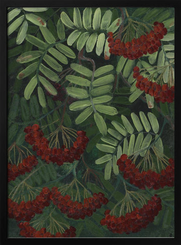 Vibrant Rowan Berries | Poster - Black Metal Frame Interior