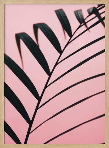 Pink Palm Leaf | Poster - Wood Frame Interior