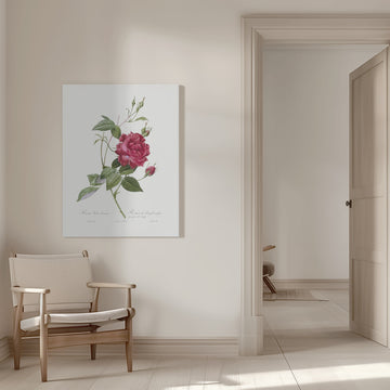 Blood Red Bengal Rose, Les Roses (1817–1824) | Canvas - Room Interior 1