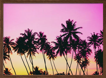 Pink Sky Palm Trees | Poster - Walnut Frame Interior