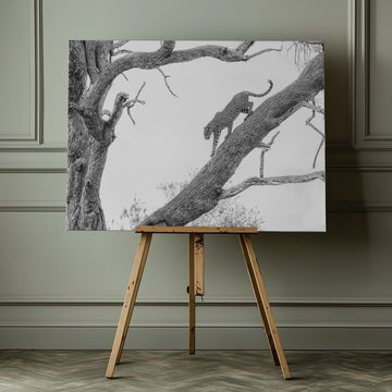 Tree Climbing Leopard | Canvas - Room Interior 1