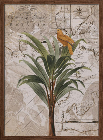 Tropical Map Bird | Poster - Walnut Frame Interior