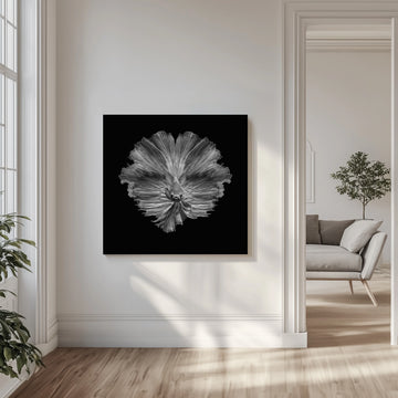 Graceful Betta Portrait | Canvas - Room Interior 1