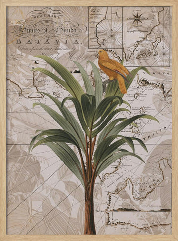 Tropical Map Bird | Poster - Wood Frame Interior