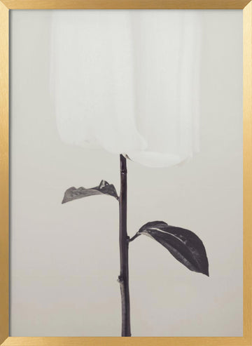 Ethereal Fabric Flower | Poster - Gold Frame Interior