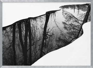 Winter Tree Reflection | Poster - Silver Frame Interior