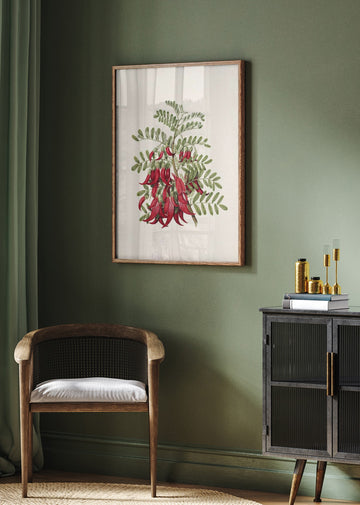 Kowhai   Clianthus Puniceus Drawn By Sarah Featon (1848–1927) | Poster - Room Interior 2