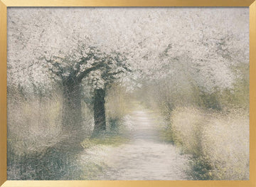Cherry blossom | Poster - Gold Frame Interior