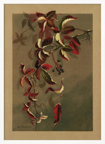 Autumn Leaves With Black Berries | Poster - White Frame Interior