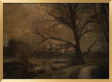 Old tree | Poster - Gold Frame Interior