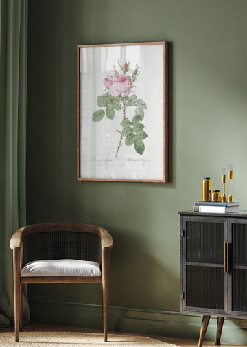 Rosa Bifera Officinalis,les Roses (1817–1824) | Poster - Room Interior 2