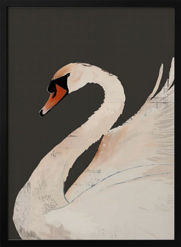 Graceful White Swan | Poster - Black Metal Frame Interior