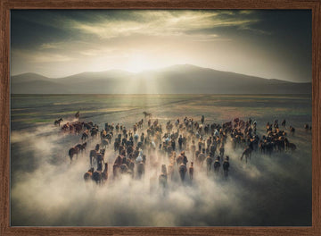 Wild Horses in Dust | Poster - Walnut Frame Interior