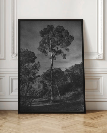 Dramatic Lone Tree | Poster - Room Interior 1