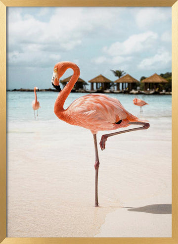 Pink Flamingo Beach | Poster - Gold Frame Interior