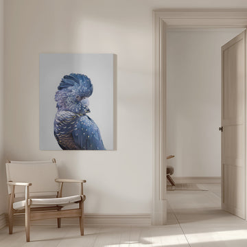 Black Cockatoo | Canvas - Room Interior 1