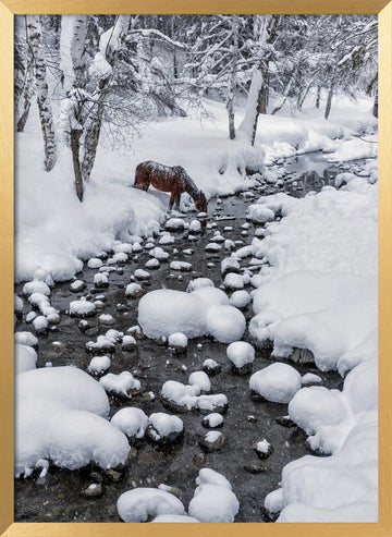 Snowy Forest Horse | Poster - Gold Frame Interior