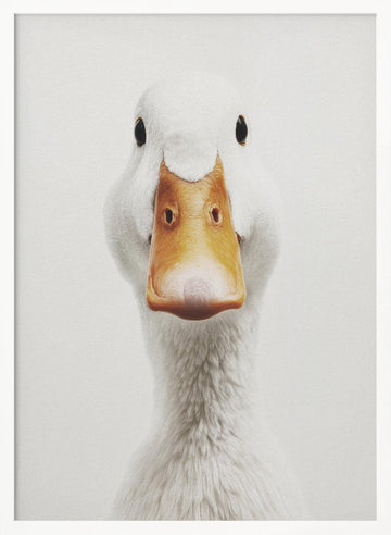Funny Duck Face | Poster - White Frame Interior