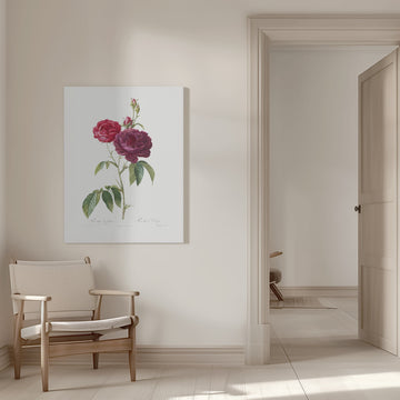 Purple French Rose, Les Roses (1817–1824) | Canvas - Room Interior 1