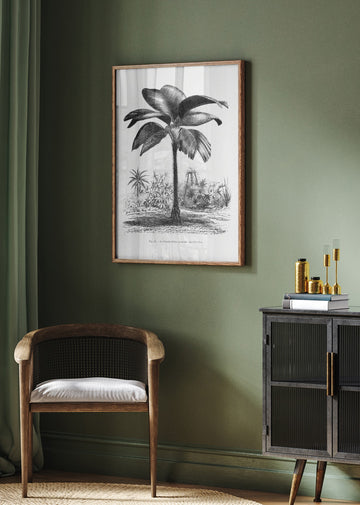 Vintage Palm Tree Drawing Iii | Poster - Room Interior 2
