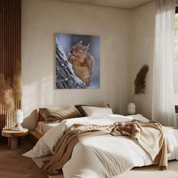Happy Winter Squirrel | Canvas - Room Interior 2