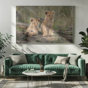 Two Adorable Lion Cubs | Poster - Room Interior 1