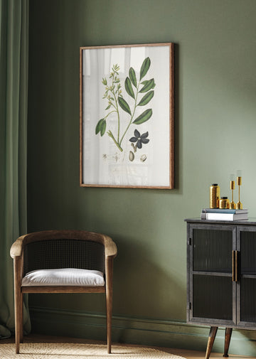 Lualsia Simarula Medical Botany | Poster - Room Interior 2