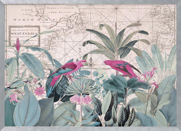 Tropical Map Parrots | Poster - Silver Frame Interior