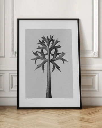 Eryngium Bourgatii | Poster - Room Interior 1