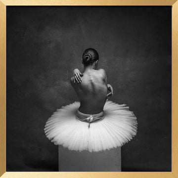 Graceful Ballerina Back | Poster - Gold Frame Interior