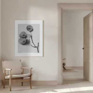 Ptelea Trifoliata | Canvas - Room Interior 1