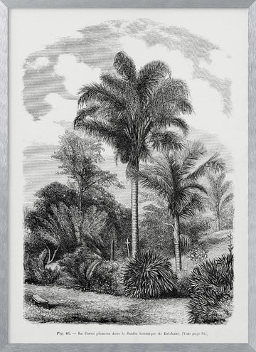 Vintage Palm Tree Drawing Vi | Poster - Silver Frame Interior